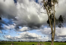 华体会体育：高尔夫国际系列赛澳门站，奥尔蒂斯夺冠，许龙一并列第六.